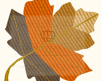 Autumn leaves set of 5 sizes Application Embroidery Design for Machine Embroidery digitized instant download