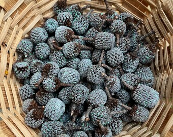 Small She-Oak Glitter Pine Cones