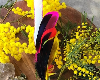 Cockatoo and Duck Feather Smudge Wand - “ A Pink Sunset “