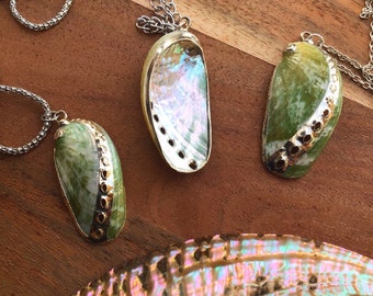 Abalone Sea Shell Necklace- Green and Silver Abalone