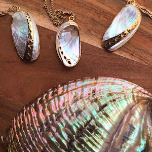 Abalone Sea Shell Necklace #4