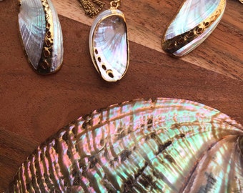 Abalone Sea Shell Necklace #4