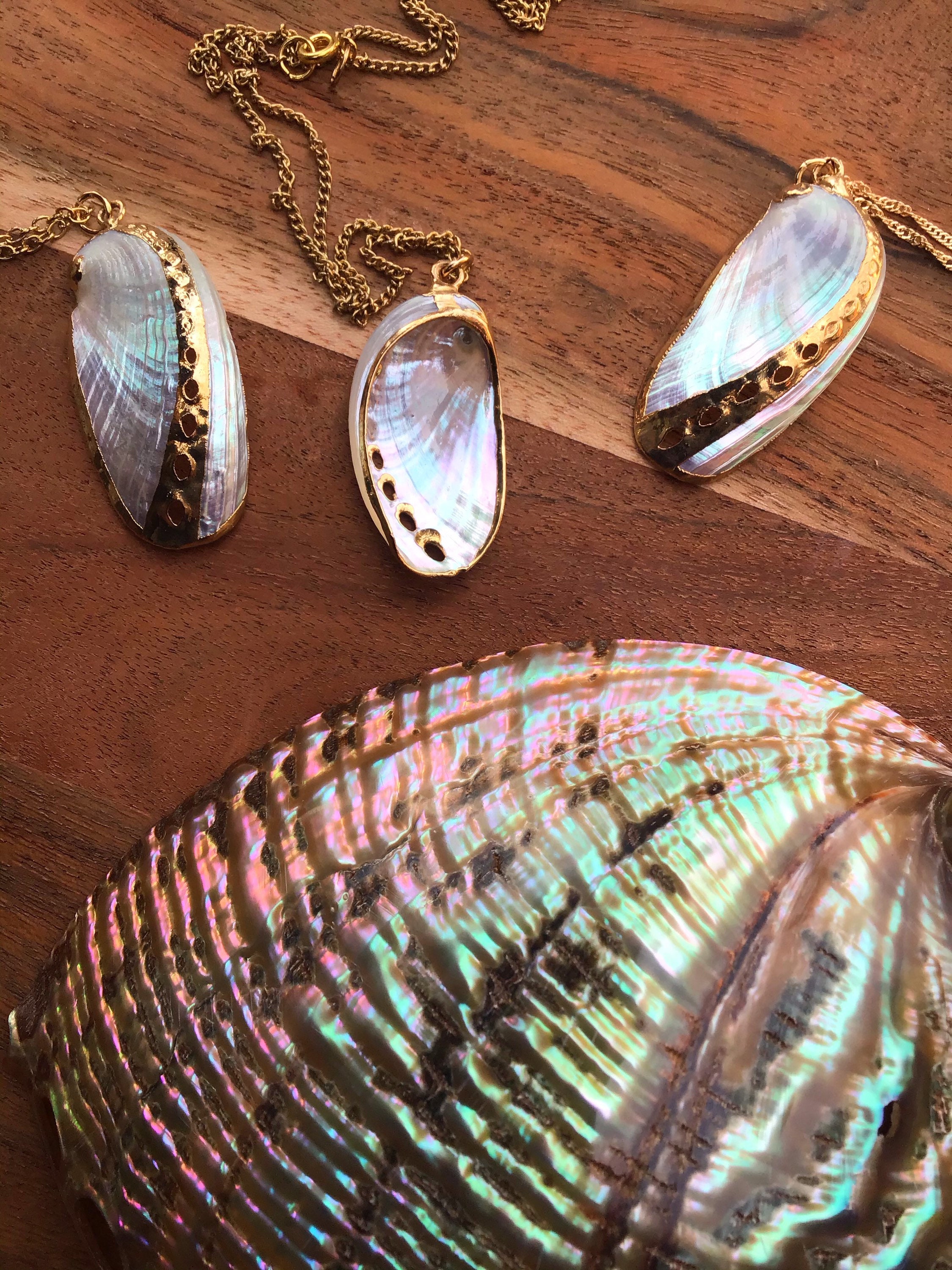 Abalone Shell Necklace (GF) | Abalone shell necklace, Shell necklaces, Abalone  shell