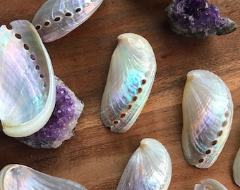 Abalone shell pearl white home decor
