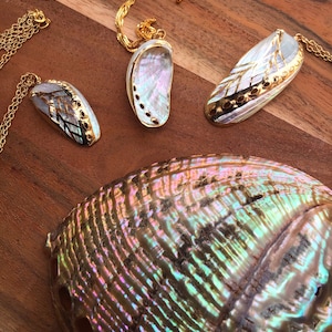Puede incluir: Tres collares de oro con colgantes de concha de abulón iridiscente. Las conchas son de diferentes formas y tamaños, y todas están decoradas con detalles dorados. Los collares se muestran sobre una superficie de madera.