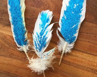 Blue Cockatoo Feathers