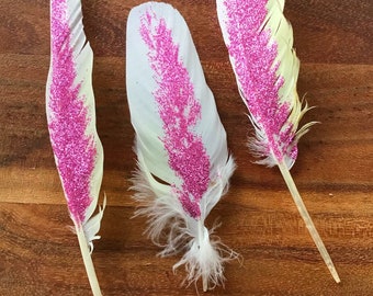 Pink Cockatoo Feathers