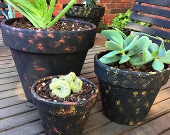Metallic planter pots succulent cacti