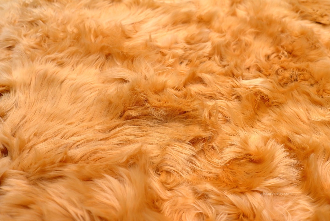 Luxurious Alpaca Real Fur Rug Golden Color, Alpaca Rugs in Living Room ...