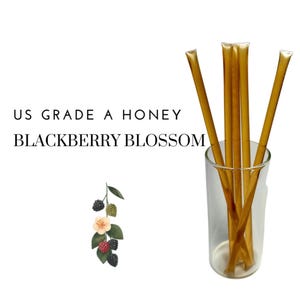 Blackberry Blossom Honey Sticks - Bee Krazy - 10 Count