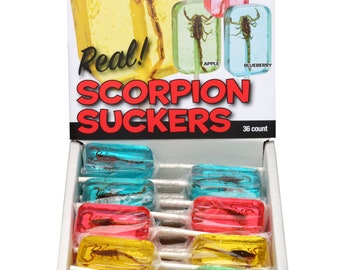 Scorpion Suckers Assorted Lollipops - 36 Count