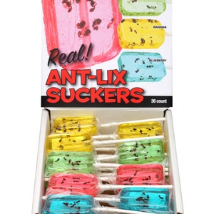 Real Ant-Lix Suckers - 36 Ct - 4 Flavors