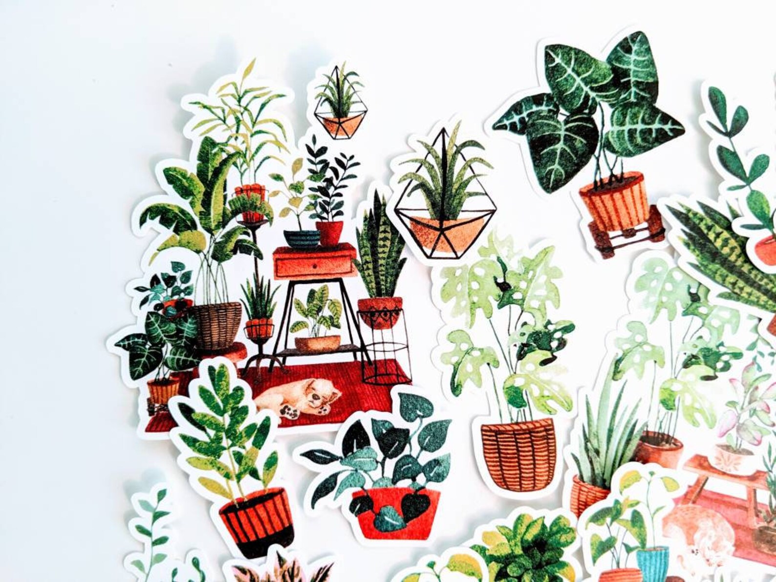 House Plant Journal Stickers Bujo Bullet Journal Scrapbook