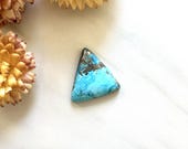 Artículos de esta tienda