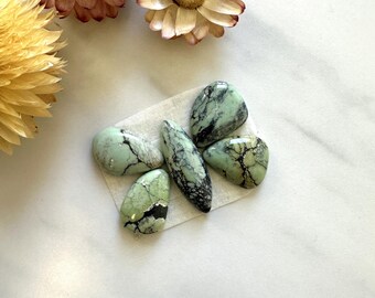Small Mint Green Mixed Crescent Lake Variscite, Set of 5
