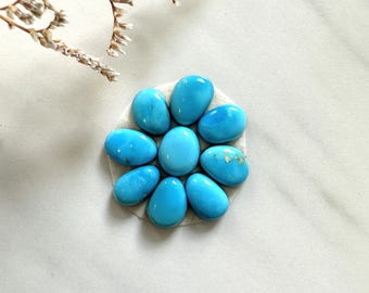 Small Sky Blue Mixed Sleeping Beauty Turquoise, Set of 9