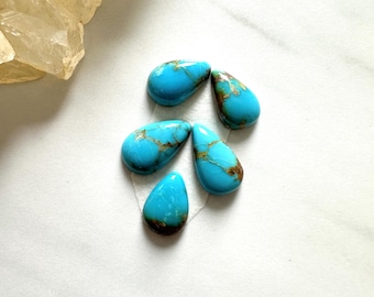 Small Sky Blue Teardrop Ithaca Peak Turquoise, Set of 5