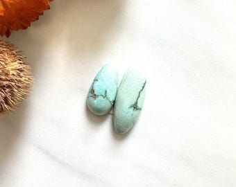 Small Faint Green Mixed Crescent Lake Variscite, Set of 2