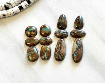 Small Faint Green Mixed Royston Turquoise, Set of 12