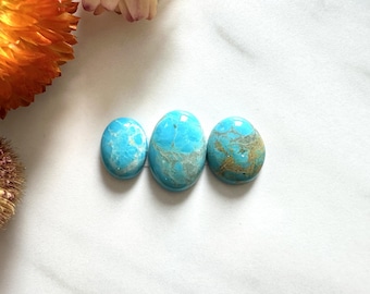 Small Sky Blue Freeform Royston Turquoise, Set of 3