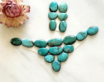 Pequeño surtido surtido surtido surtido turquesa, juego de 19