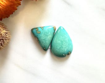 Large Mint Green Mixed Crescent Lake Variscite, Set of 2