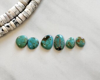 Small Mint Green Freeform Tyrone Turquoise, Set of 6