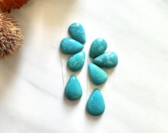 Small Sky Blue Teardrop Fox Turquoise, Set of 8