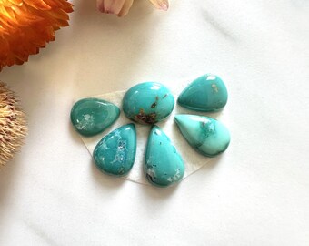 Small Sea Green Mixed Fox Turquoise, Set of 6