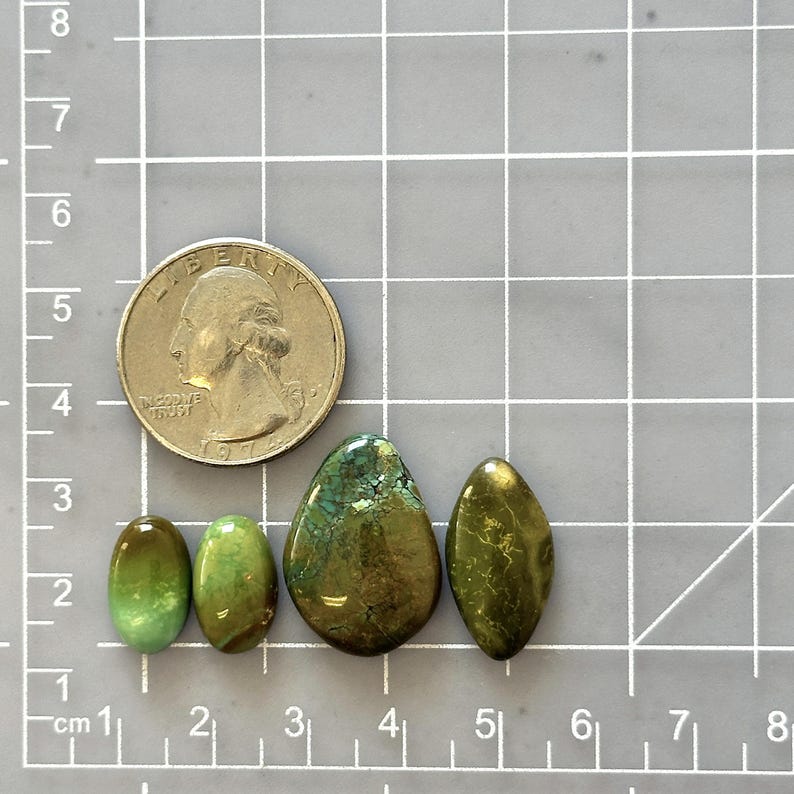Stor blandad blandad skattbergsturkos, set om 4 bild 2