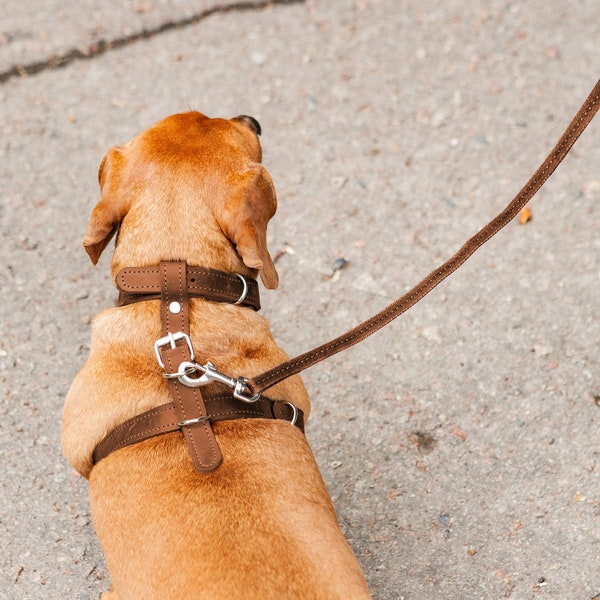 Dog harness and leash set,Dog harness and lead set,Small dog harness,Puppy harness and leash set,Custom dog harness,Leather dog harness