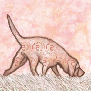 May include: A light brown dog with a pink and white patterned coat is walking through tall grass. The dog's fur is covered in a pattern of small, red, sausage-shaped markings.