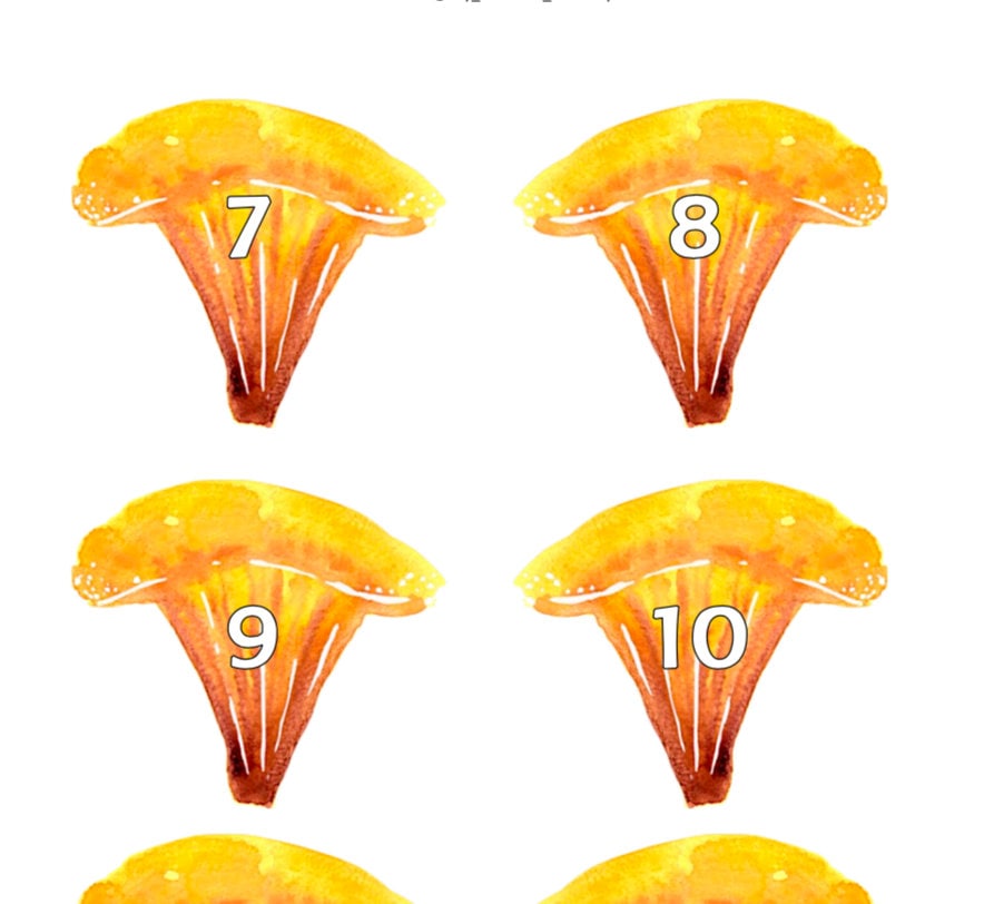 Printable Mushroom Advent Calendar Etsy