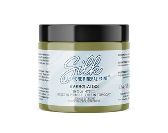 Silk Paint **Everglades** Dixie Belle Paints