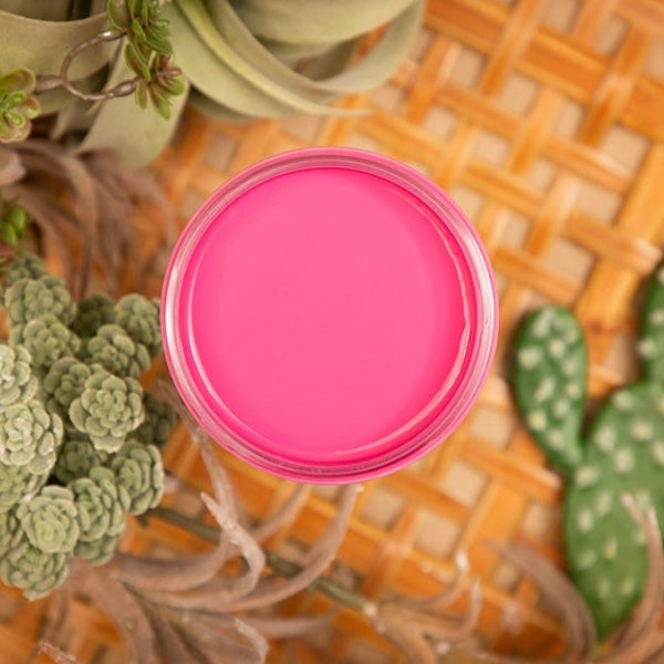 PRICKLEY PEAR SILK ** all in one mineral paint by Dixie Belle ** New Release Color**   hot pink paint