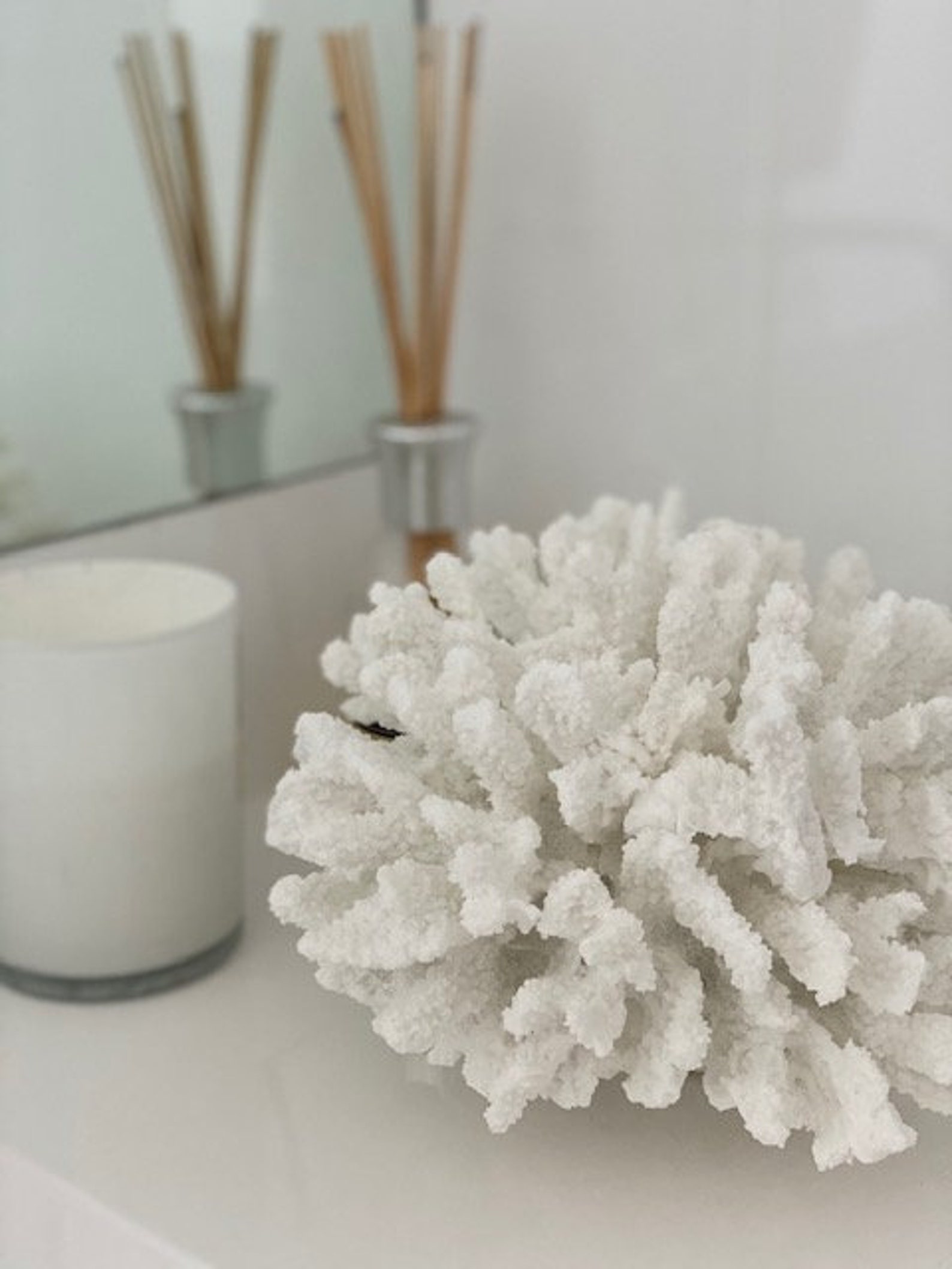 Faux Staghorn Coral beach decor Hamptons style bathroom Etsy