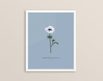 Poppy Anemone Print