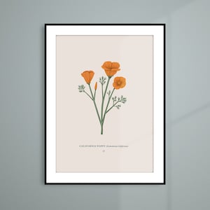 California Poppy Print image 6