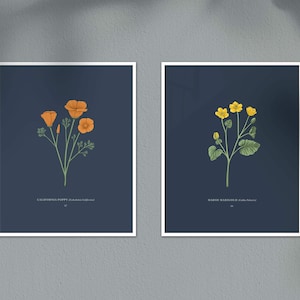 California Poppy Print image 5