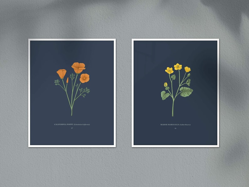 California Poppy Print image 5