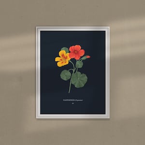 Nasturtium Print