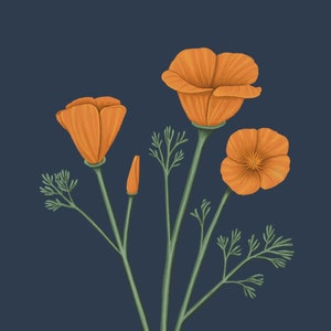 California Poppy Print image 4