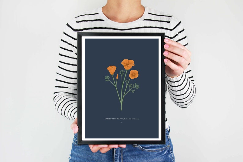 California Poppy Print image 7