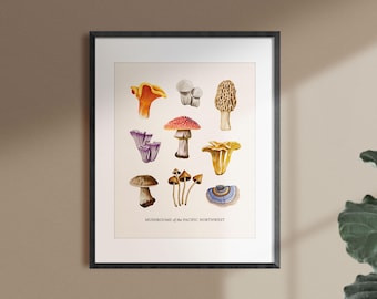 Mushrooms of the Pacific Northwest Print