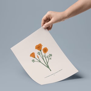 California Poppy Print image 10