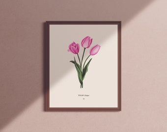Vintage Botanical Tulip Print, Hand-Drawn Floral Art (8x10)