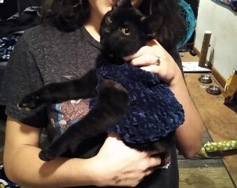 Suéter gatinho