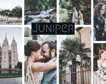 Mobile Lightroom Preset JUNIPER - Desktop & Mobile Preset Dark Green Moody