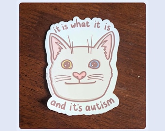 It Is What It Is And Its Autism | Neurospicy Cat Vinyl Sticker | Autism Humour, Neurodiverse, Neurodivergent