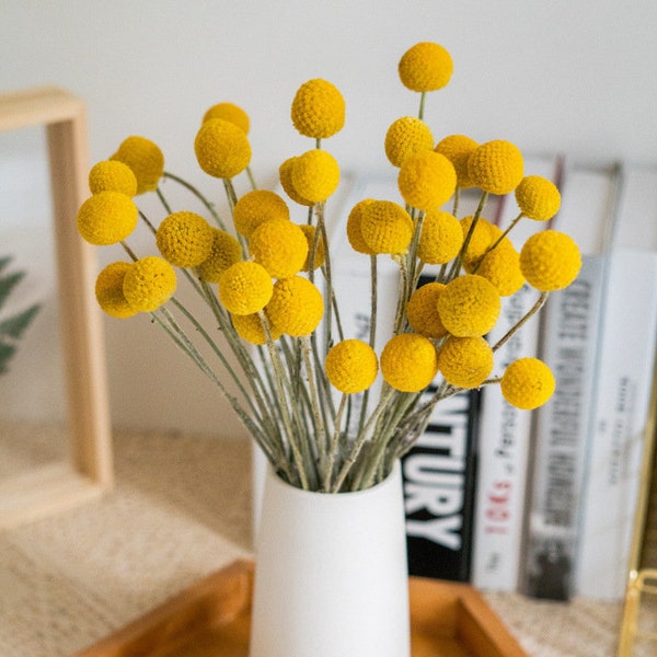 GHY Decor Dried Flowers Billy Balls Natural Craspedia Bunch Button Flowers Yellow Billy Buttons Flower Arrangement Centerpiece